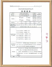 甲醛治理檢測(cè)報(bào)告樣本